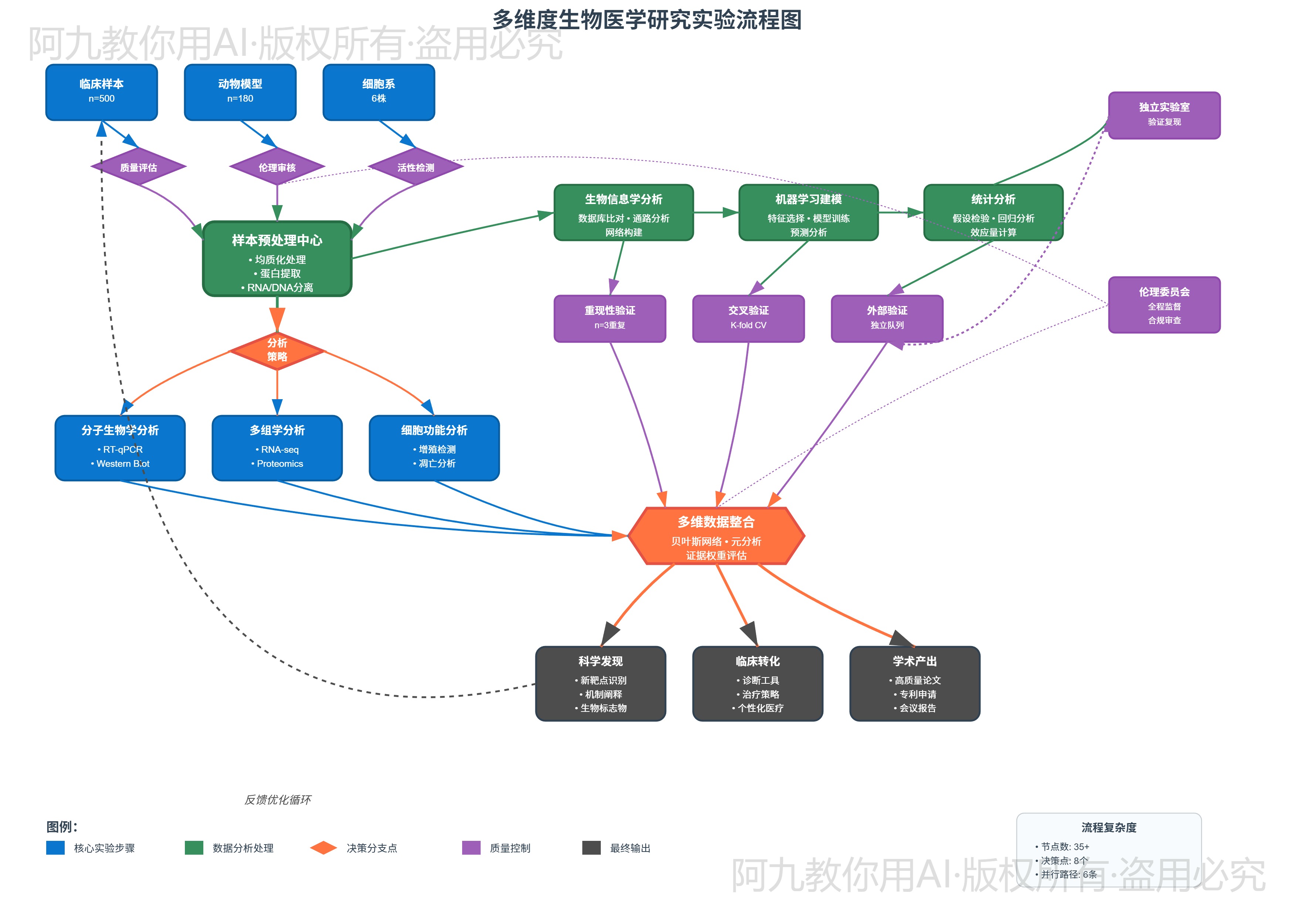 模板预览