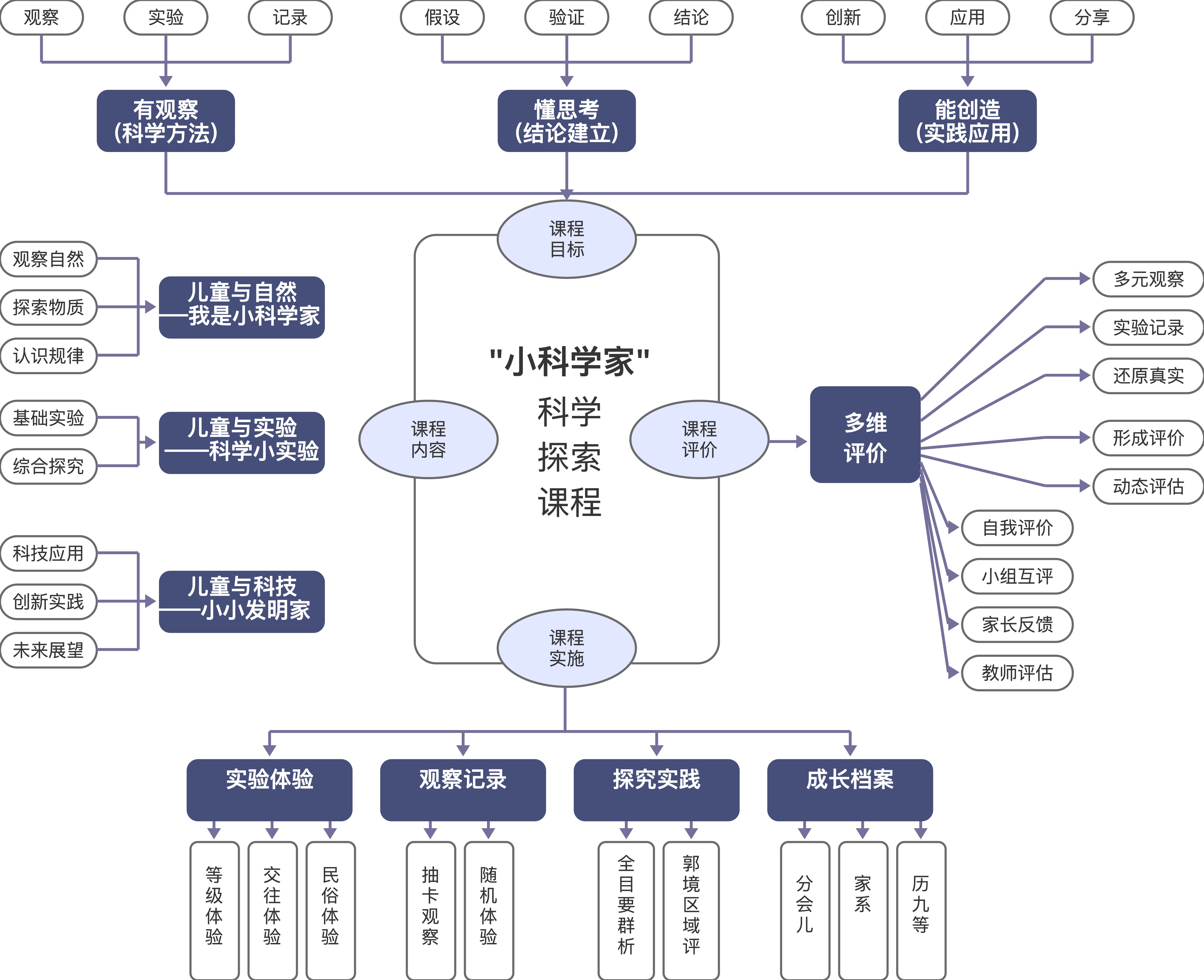 模板预览