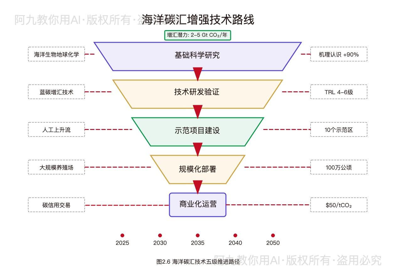 模板预览